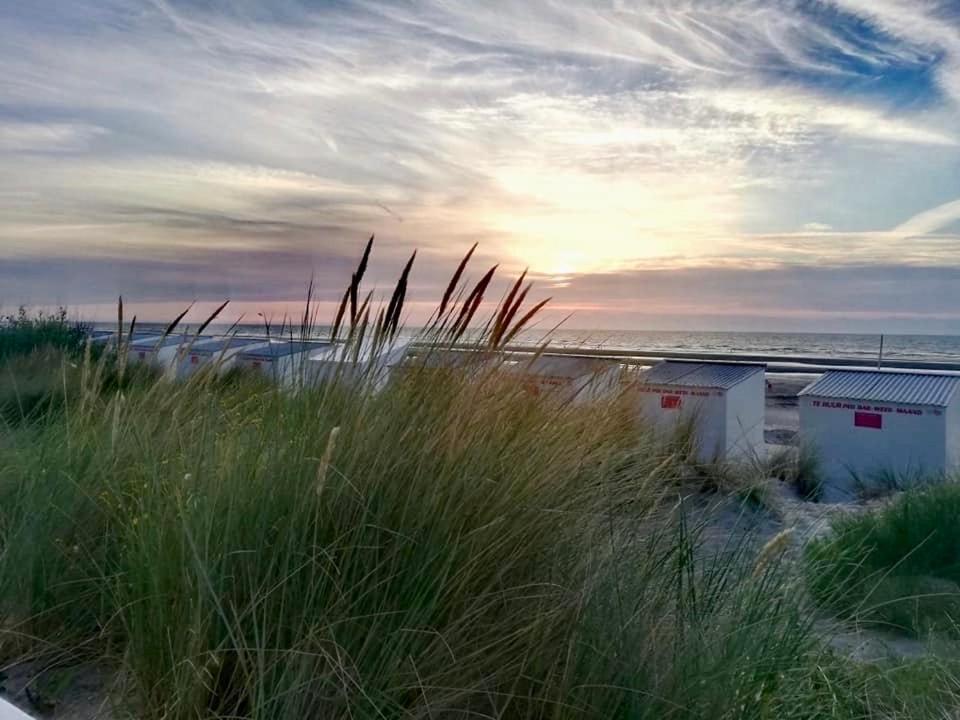 Seayousoon Nieuwpoort-Bad Zewnętrze zdjęcie